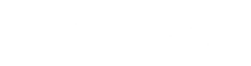 Febzen White Logo